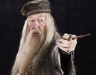 Dumbledore was considered by many to be the most powerful wizard of his time. 